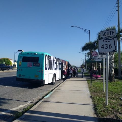 SR 436 bus